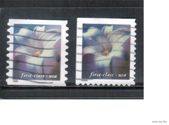 США-2000 (Мих.3395 ВС+ВЕ) , гаш. , Стандарт, 1-й класс, Цветы, зубцовки