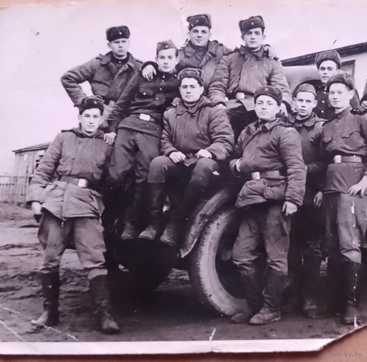 Фото в коллекцию