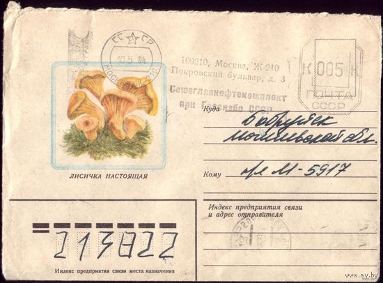 1982 год Лисичка 2