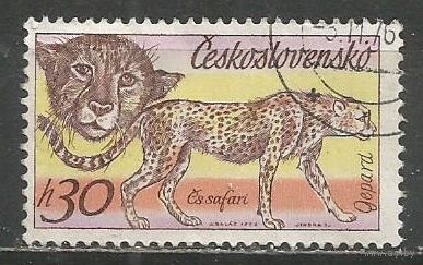 Чехословакия. Парк Двур Кралове. Гепард. 1976г. Mi#2346.