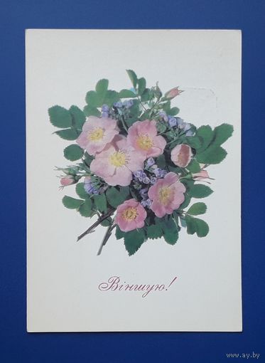 СССР 1990 ДМПК фото Дергилева.Поздравляю!(бел.яз.) Чистая.