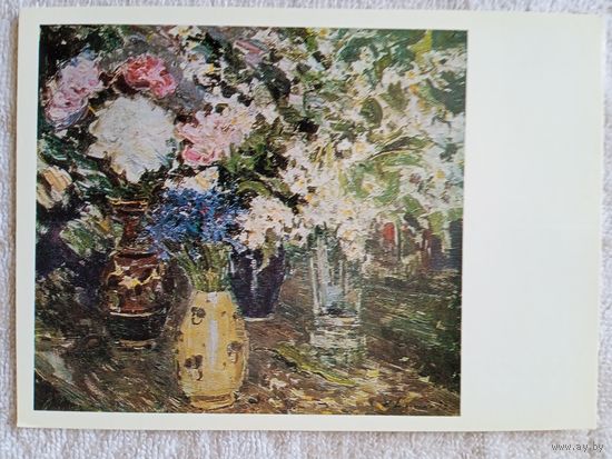 Шишко. Жасмин