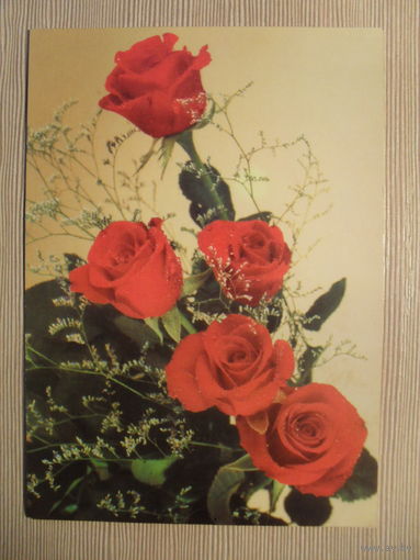 ПОДПИСАННАЯ ОТКРЫТКА. СССР. РОЗЫ. ВОЗМОЖНО ОБРЕЗАНА.