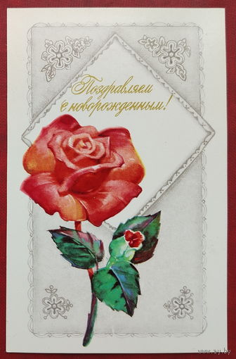 Поздравляем с новорождённым! Чистая. 1977 года. Александров. 2068.