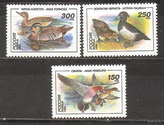 ФФ1 Россия 1994 Утки