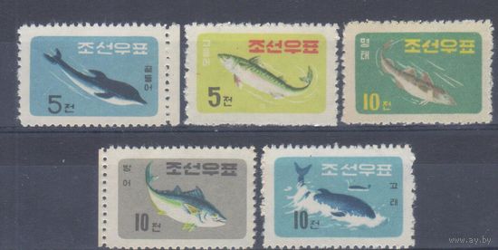 [200] Корея КНДР 1961.Морская фауна.Рыбы.дельфины,киты. СЕРИЯ MNH. Кат.27 е.