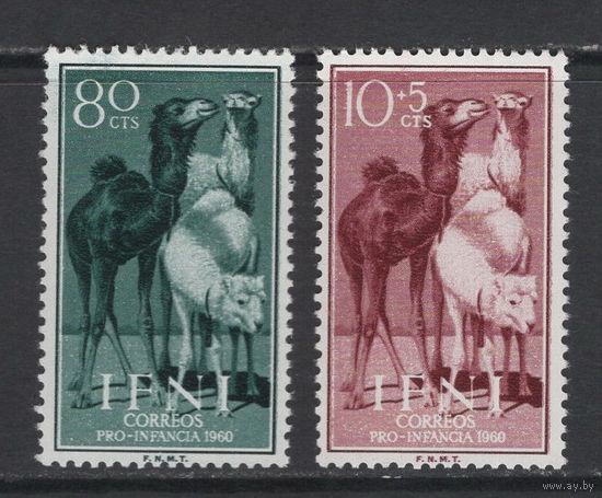 Испанская Ифни /IFNI 1960** Фауна Верблюды