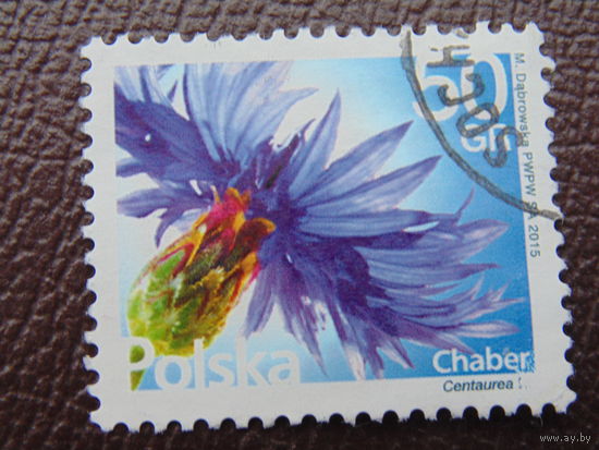 Польша 2015 г.