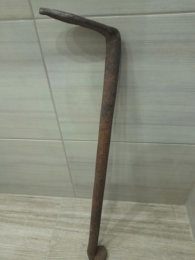 Лапа сапожная