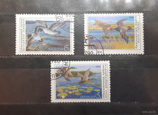 СССР. 1990 год. Фауна. Птицы. Утки (445)