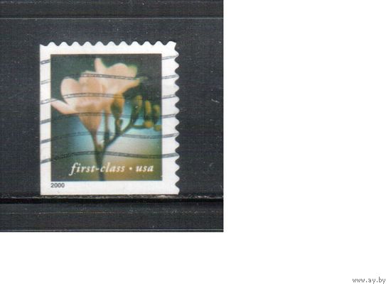 США-2000 (Мих.3396 ВЕ) , гаш. , Стандарт, 1-й класс, Цветы,