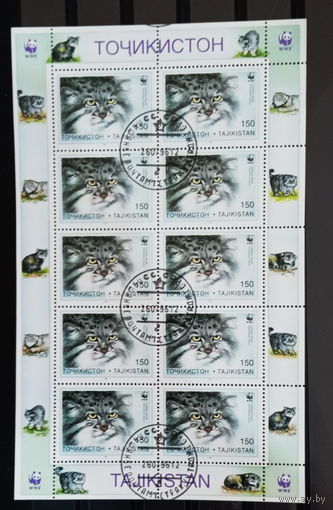 Таджикистан 1996  Фауна. Дикие кошки. Манул