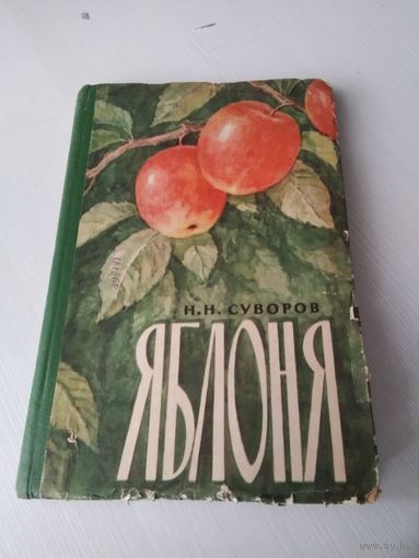 ЯБЛОНЯ. /12
