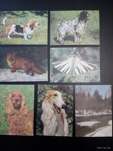 Открытки СССР