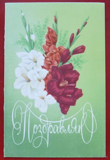 Поздравляю! Чистая. Двойная. 1981 года. Кириллов. 1093.