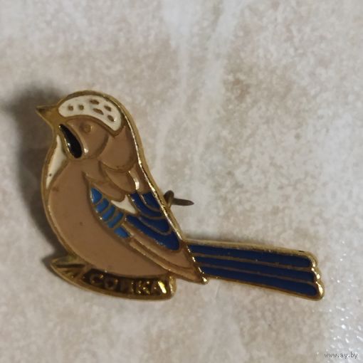 Значок. Сойка. Орнитология.