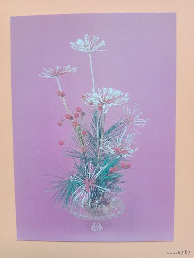 Открытка, Братислава чистая