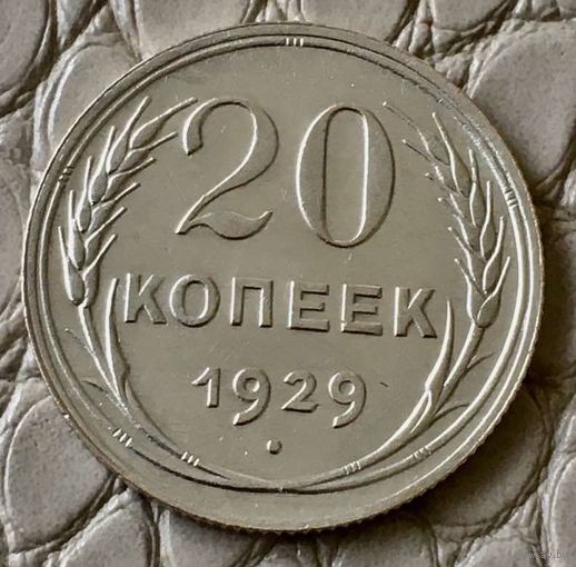 20 копеек 1929 года.