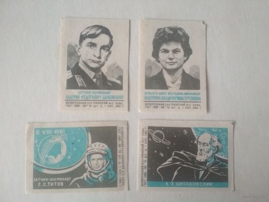 Спичечные этикетки ф.Пинск. Лётчики-космонавты. Космос. 1963 год
