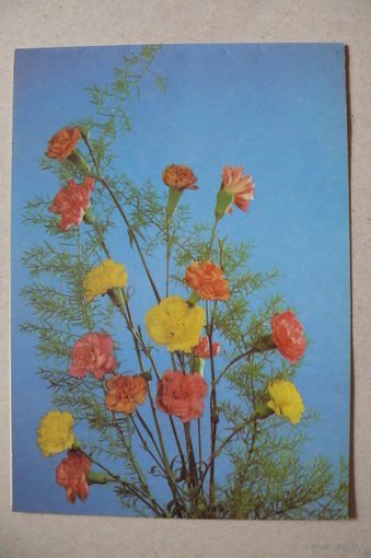 Шаров Ю., Композиция из гвоздик; 1987, двойная, подписана.