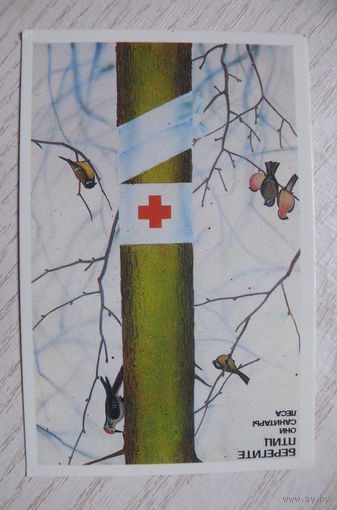 Календарик, 1989. Берегите птиц, они санитары леса (дятел, синицы, снегири).