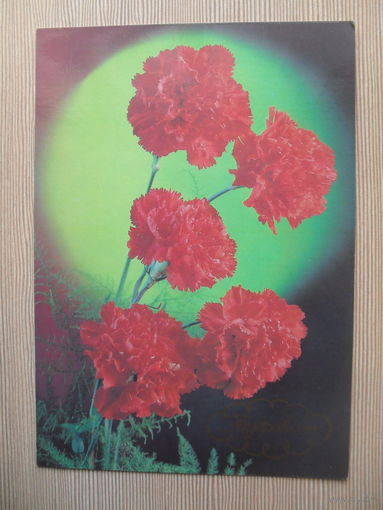 ПОДПИСАННАЯ ОТКРЫТКА. СССР. "ПОЗДРАВЛЮ" фото. Г. КОСТЕНКО. 1988 год.