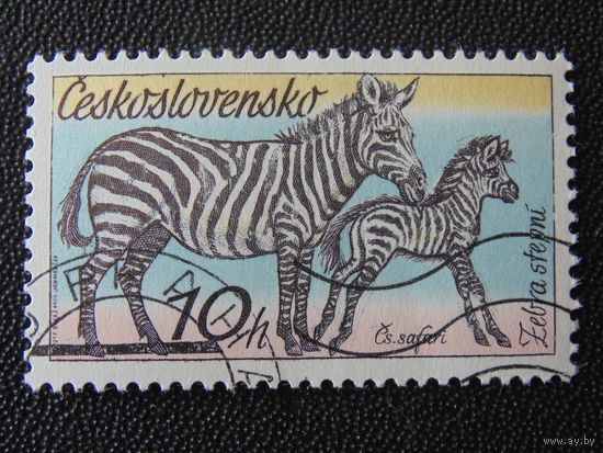 Чехословакия 1976 г. Зебры.