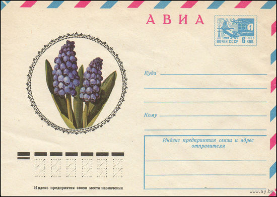 Художественный маркированный конверт СССР N 10820 (24.09.1975) АВИА  Мускари