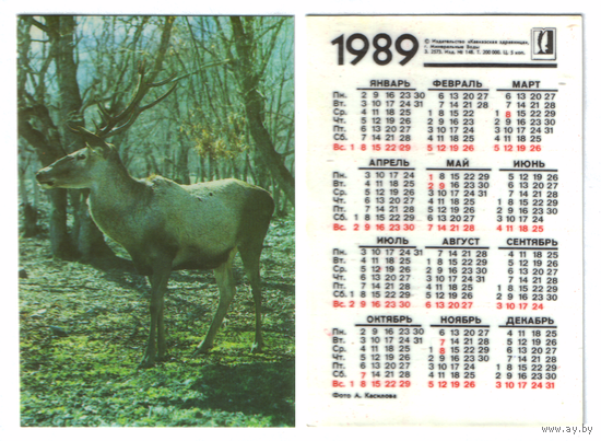 Календарь олень 1989