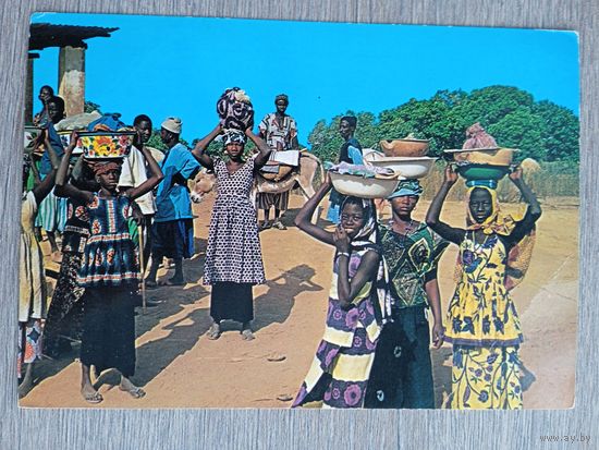 Этнография. Гамбия. В ожидании парома