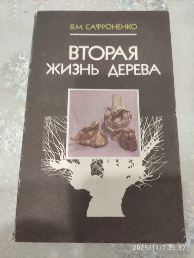 Вторая жизнь дерева