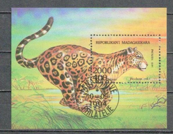 ФАУНА ЖИВОТНЫЕ  хищники кошки   БЛОК сто