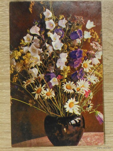 ЧИСТАЯ ОТКРЫТКА СССР. БУКЕТ. фото. Г. КОСТЕНКО.1970 год.