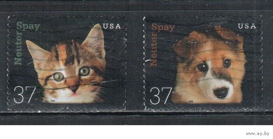 США-2002 (Мих.3644-3645) , гаш., Фауна, Кошки, Собаки (полная серия)(1)