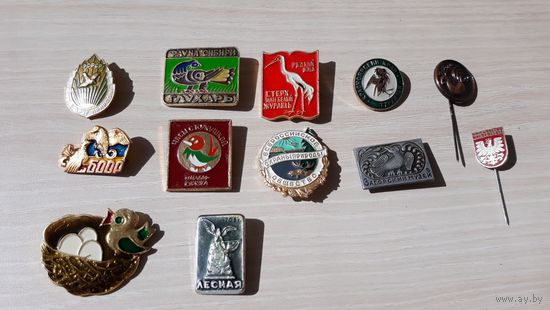 Птицы фауна значки - 12 шт - Глухарь Утка Стерх Белый журавль и др