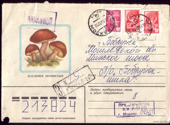 1982 год Маслёнок 2