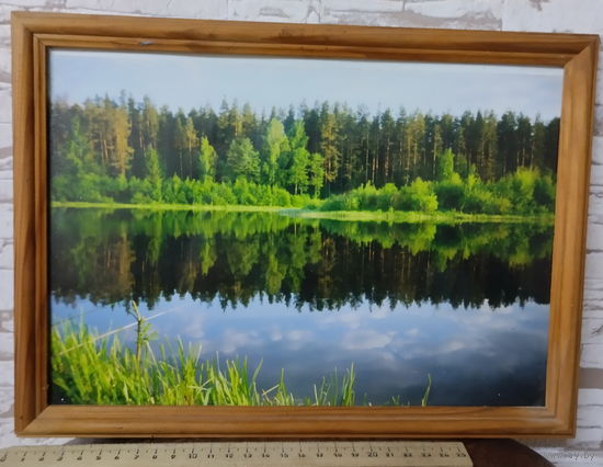 Картинка в рамке. Пейзаж. 23,5*33,5 см