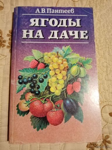 Ягоды на даче. Пантеев.