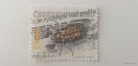 Чехословакия 1992. Жуки