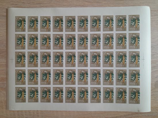 Лист 1964 г. Сельскохозяйственные культуры.  Горох