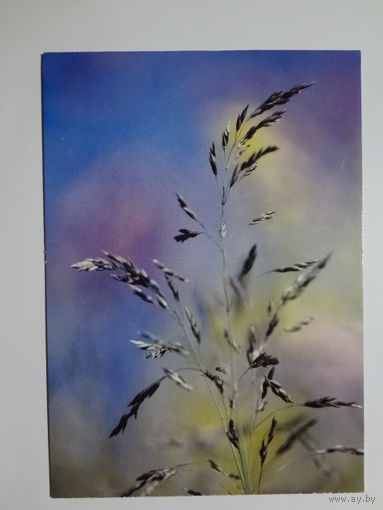 Календарик 2000 г. АО работников НП Набережночелночный КБК.