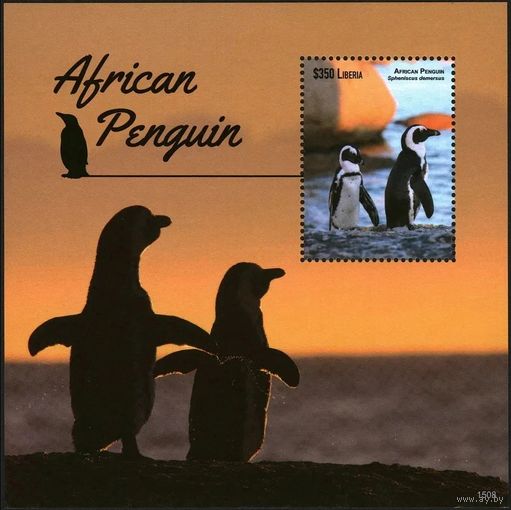 2015 Либерия 6635/B697 Птицы - Пингвины 10,00 евро