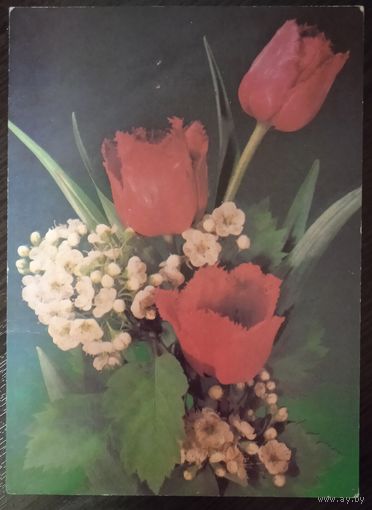 Открытка СССР 10