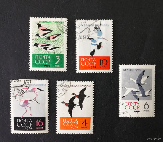 СССР 1962 г. Птицы. Фауна, полная серия из 5 марок #0095-Ф1P19