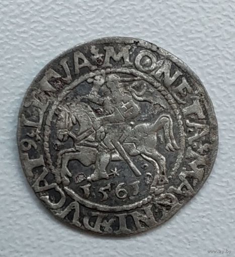 Полугрош 1561