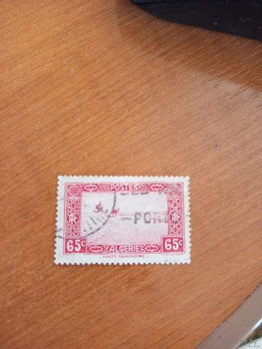 Французская колония Алжир фауна верблюд в пустыне (2-4)