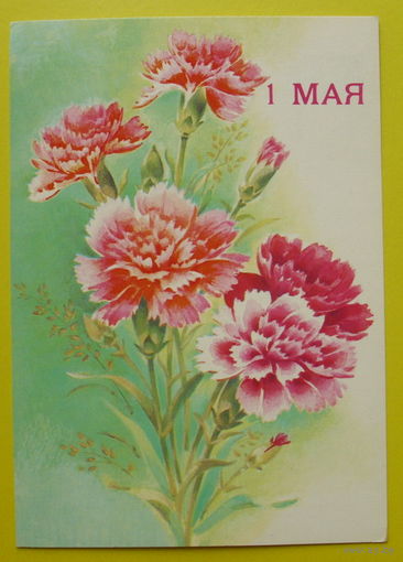 1 Мая! Чистая. 1990 года. Дергилева.