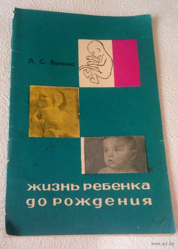 Жизнь ребенка до рождения.