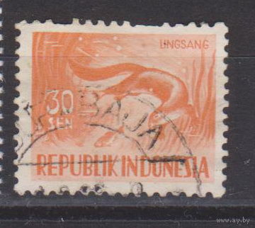 Фауна звери Рыба Индонезия 1956 год лот 8