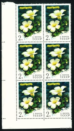 Цветы гор Сибири СССР 1977 год сцепка из 6-ти марок